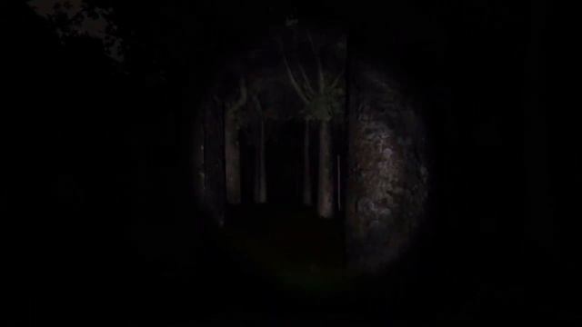 [MacVlog] - Slender The Eight Pages смотреть онлайн