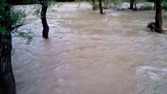 Р. Салгир 29.05.2015 смотреть онлайн