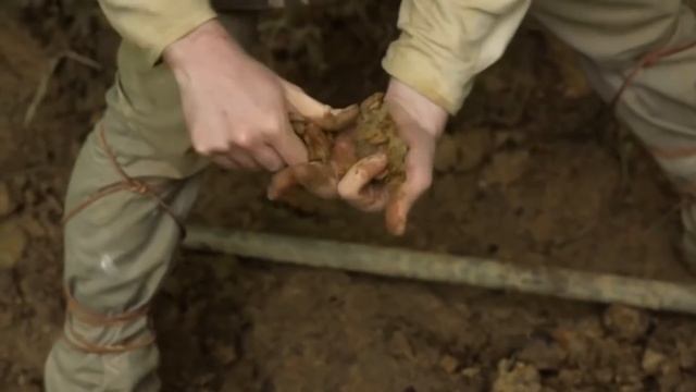 Искусственная жизнь родом из лаборатории смотреть онлайн