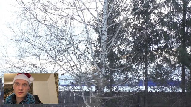 Когда сахар плавится в тусклом свете очага... Поздравляю Вас с Новым 2021 годом! смотреть онлайн