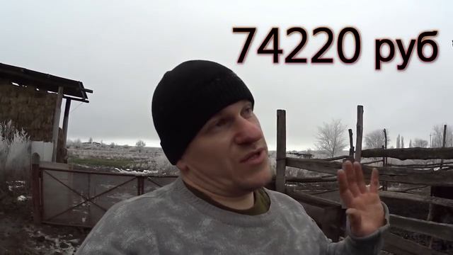 Выгодно ли держать корову? // Корова кормилица смотреть онлайн