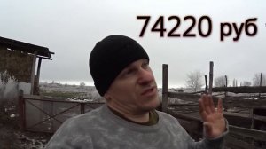 Выгодно ли держать корову? // Корова кормилица