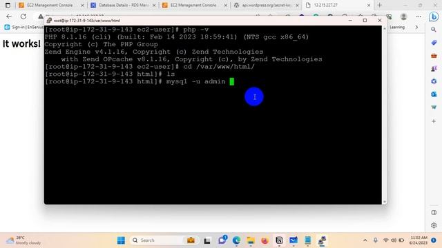 wordpress install with amazon ec2 and rds смотреть онлайн