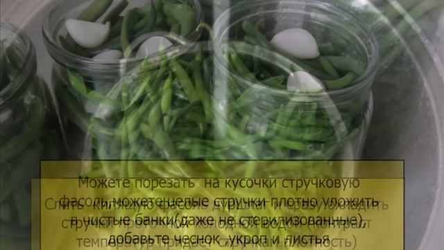 Фасоль стручковая консервированная на зиму смотреть онлайн