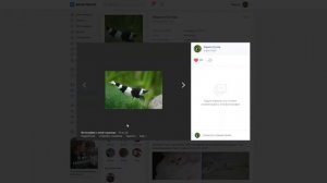 Как восстановить фото в ВК удаленное ранее вручную - Быстрое решение