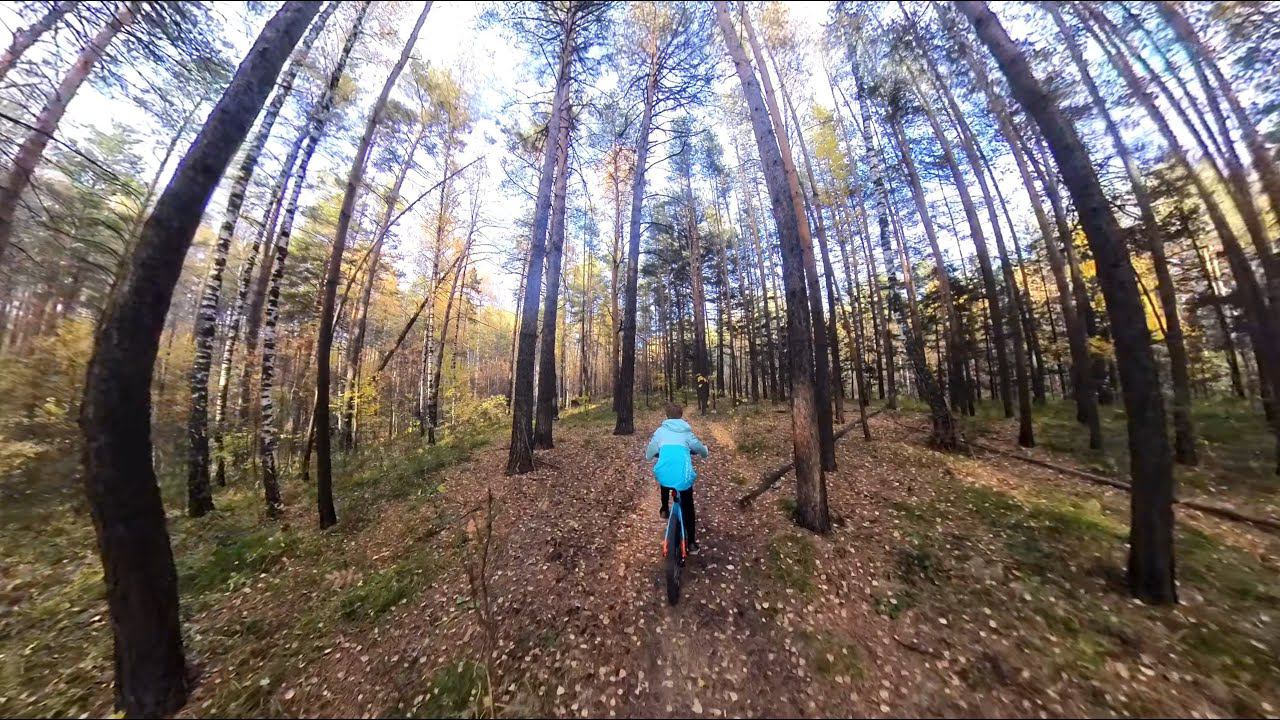 Осенняя прогулка на велосипедах по лесам вокруг. 360VR