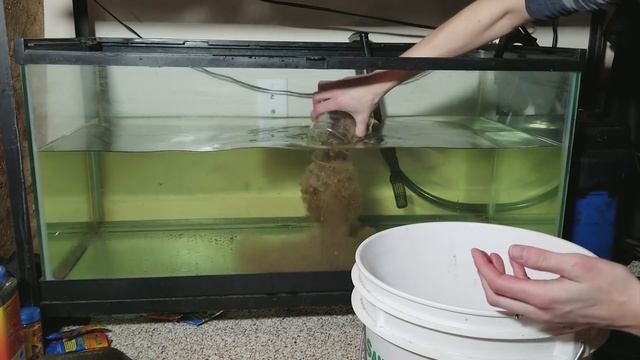 Setting up New and Improved Turtle Tanks! смотреть онлайн