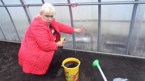 ОБРАБОТКА ТЕПЛИЦЫ ФИТОСПОРИНОМ. Ольга Чернова.