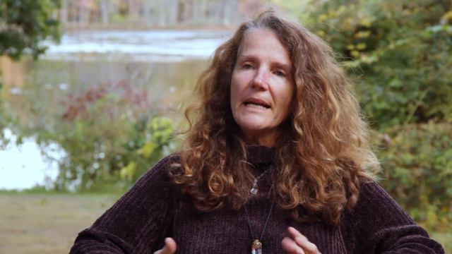 Llyn Roberts: How Shapeshifting Helps Us Heal смотреть онлайн