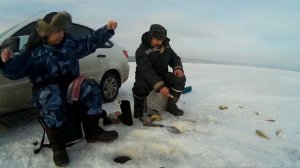 Добыча мормыша и зимняя рыбалка на него же, ловля окуня