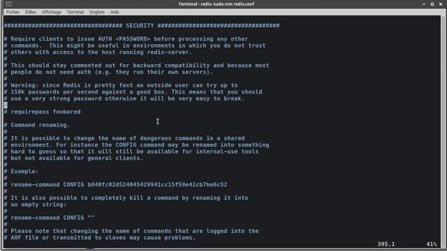 Mettre en place un serveur Web (27/28) : Redis смотреть онлайн