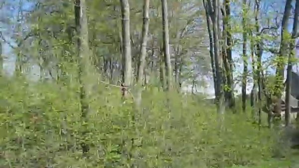 Едем по посёлку Романово