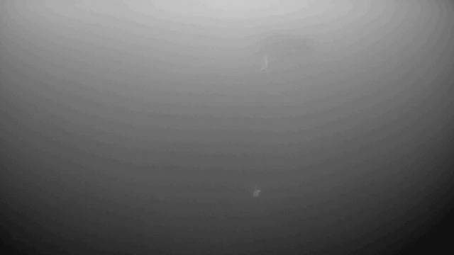 Форель на водоёме "Гарантия" в Верхнем Мячково смотреть онлайн