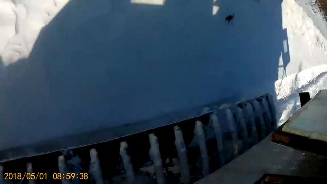 Леший(хома 3) 1 мая смотреть онлайн