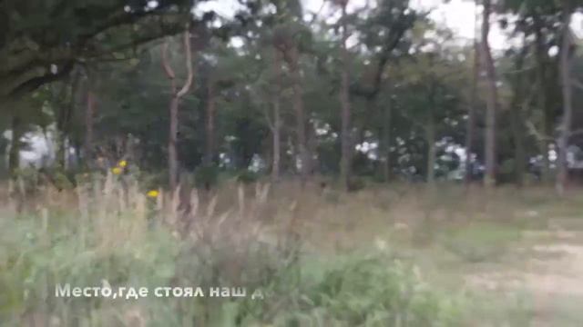 Поездка в Гарц смотреть онлайн