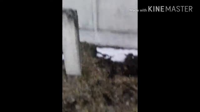 Эта слись непонятно что и откуда как оказалась тут.возможно это "ЭнЭлО"проверилил и не понили смотреть онлайн