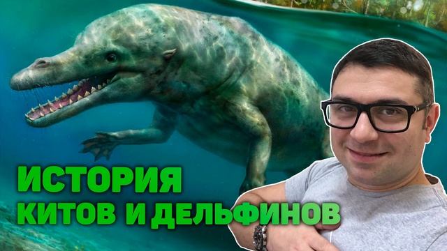 Почему предки китов ходили по суше? Как происходила эволюция китообразных?