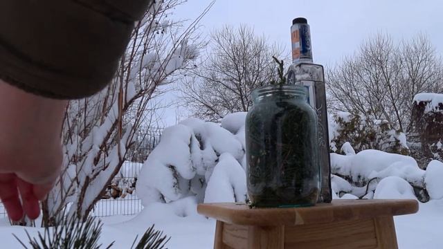 Аналог НВ 101 природный виталайзер - иммуномодулятор смотреть онлайн