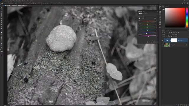 Photoshop | Adjust Color Luminosity смотреть онлайн