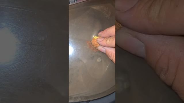 Limpieza de óptica ford ka смотреть онлайн