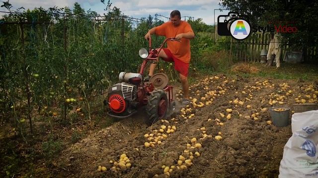 Мотор Січ+копалка(кам'янська) 2020 смотреть онлайн