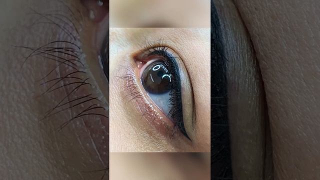 An eyeliner wing смотреть онлайн