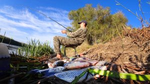 ЭТО ЧТО? РВЁТ КРЮЧКИ, КАРАСЬ ВЗБЕСИЛСЯ. Рыбалка на поплавок осенью. Поплавочная удочка.