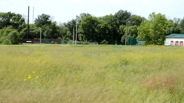 ПОЗОР "Не покошено в селе АЛЕКСАНДРОВКА) Июнь 2020 года. смотреть онлайн