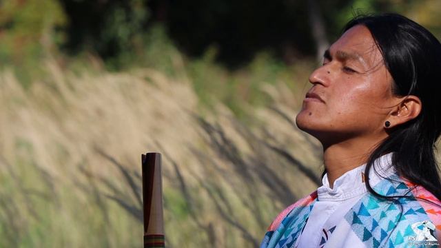 Halellujah | Panflute | Instrumental music | Relaxing moments | by FS Wuauquikuna смотреть онлайн