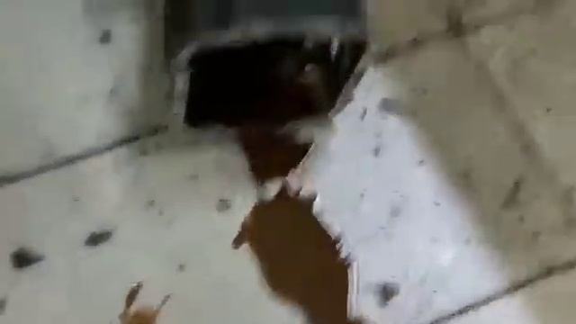 Ремонтные чудеса