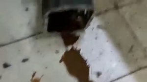 Ремонт заднего редуктора Киа Спортейдж 2010 года