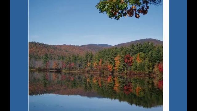 Image Resizing by Seam Carving смотреть онлайн