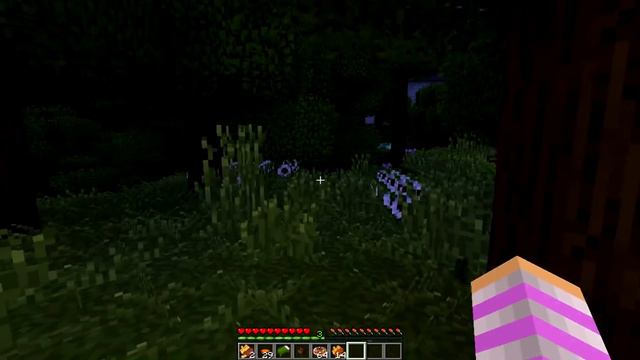 EVIL LITTLE LEAH turns to THE DARKNESS... Minecraft смотреть онлайн