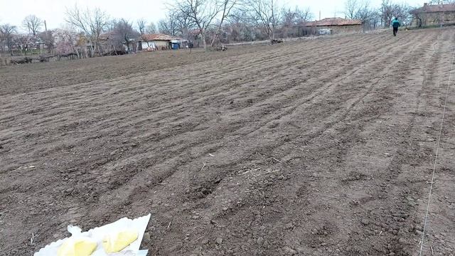Засяване на люцерна по два метода/Sowing alfalfa by two methods смотреть онлайн