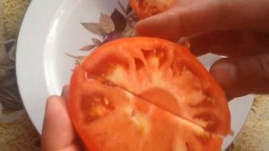 Дегустация томата "Малиновый рассвет"