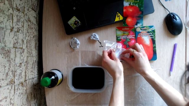 Подготовка семян ТОМАТА к посеву смотреть онлайн