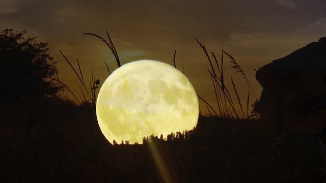 Юрий Лужный -  ты неси меня река(кавер.Любэ)