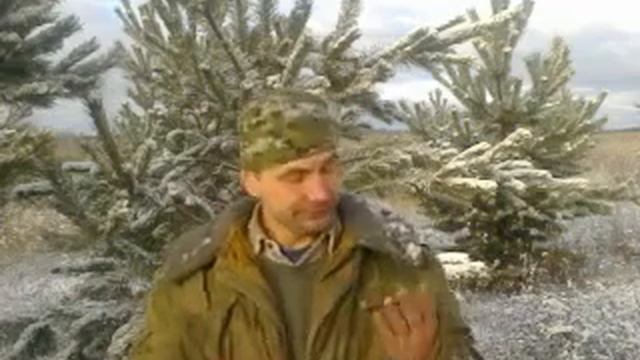 Медведь и пчела. Басня с матом смотреть онлайн