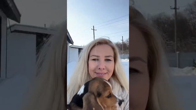 На улице холодно, а в оранжерее тропики смотреть онлайн