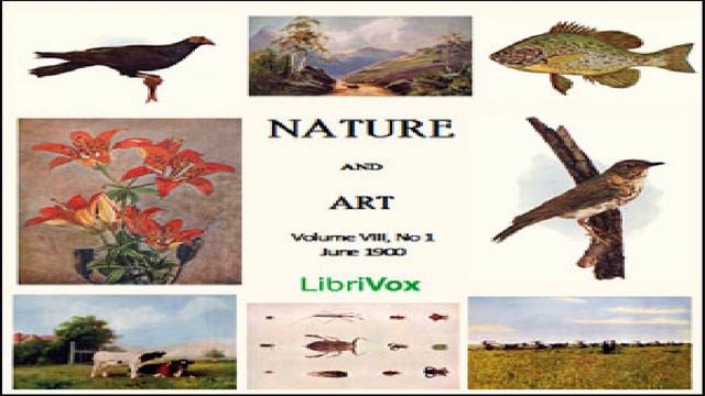 Nature And Art, Vol. VIII, No 1, June 1990 | Various | Nature | Talking Book | English | 1/2