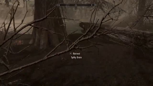 Skyrim: 107 Treasure Hunt смотреть онлайн