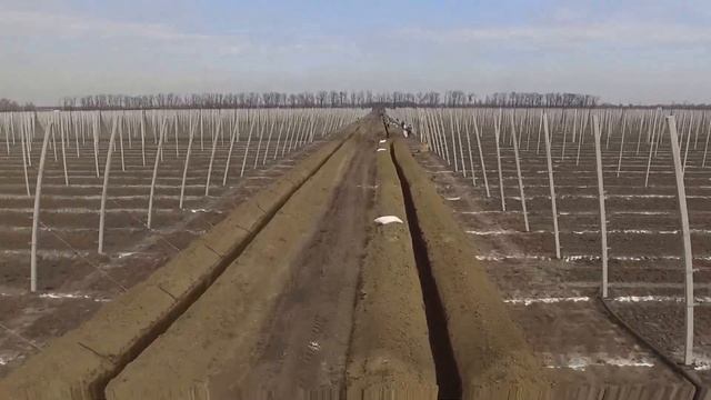 Полет над закладкой яблоневого сада смотреть онлайн
