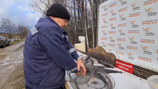 13.11 РК Фишка Данилово, улов форели, форелевый улов, ловля форели на платнике смотреть онлайн