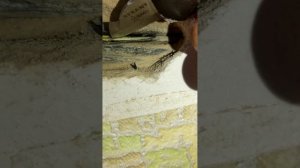 Как правильно соединить повреждённый провод#перебил провод в стене#саморез попал в провод