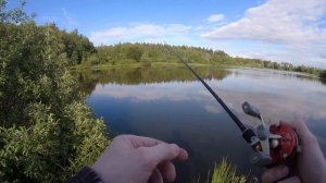 Правда о джеркбейтах. Сколько щуки можно поймать на джерк?