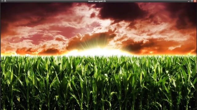 25- кадр.Настрой на удачу,успех,везенье на каждый день. 25frame. Set for success,luck for every day смотреть онлайн