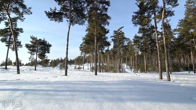 Tokina AF 12-24 Mm F4 AT X 124 PRO DX | Видео тест