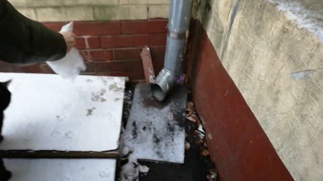 КРАСИВЫЕ УЛИЧНЫЕ КОШКИ ЗИМОЙ. ПОМОГАЕМ ВЫЖИВАТЬ. ЧАСТЬ ПЕРВАЯ. смотреть онлайн