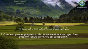 66. _Сура_ ❤️Ат-Тахрим❤️ Мишари Рашид