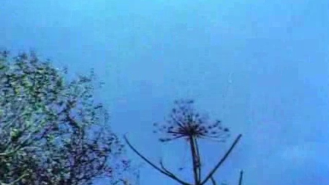 ДМБ - Про НЛО (ДМБ, НЛО, UFO). Фильм.Сериал. смотреть онлайн